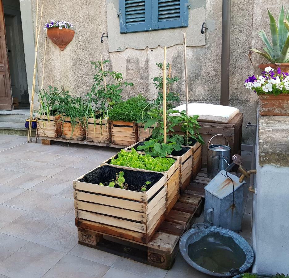 Villa Eugenia Livorno Exteriér fotografie